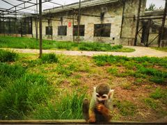 -辛玛王国游乐园