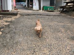 -白沙湾海滩