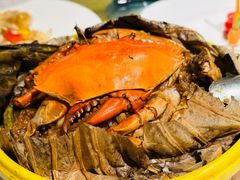 -金美华轩(东方路齐鲁店)