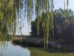 -大兴滨河森林公园