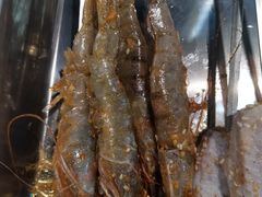 -袁家水泊水浒烤肉(白金店)