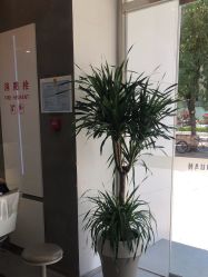 -古川造型