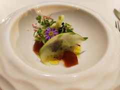 -蝶舍·MAISON PAPILLON