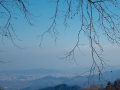 -莫干山风景区