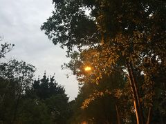 -广东外语外贸大学(白云山校区)