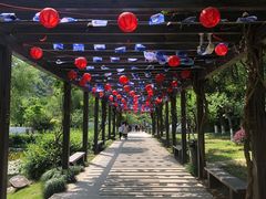 -白马涧龙池景区