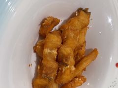 -港升鱼师傅·中山脆肉鲩
