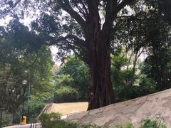 -海港城