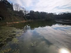 -八卦田遗址公园
