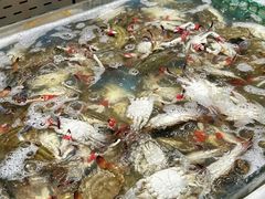 -半岛听涛蒸汽海鲜自助(K11店)