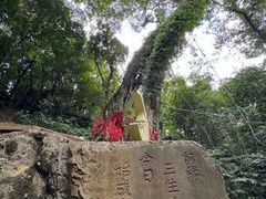 -七仙岭温泉国家森林公园