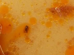 -白玉兰食品(汇联商厦店)