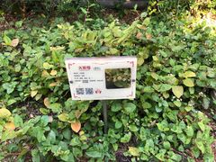 -广州神农草堂中医药博物馆