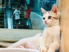 -人民公园(罗湖区)