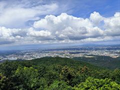 -东莞市大岭山森林公园
