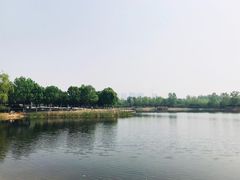 -永定河休闲森林公园