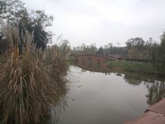 -白鹭湾湿地公园