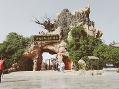 -大槐树寻根祭祖园