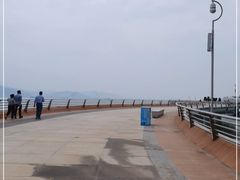 -演武大桥观景平台