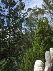 -大望京儿童游乐场