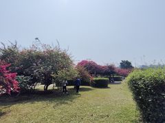 -中国科学院西双版纳热带植物园