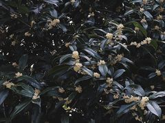 -杭州少年儿童公园