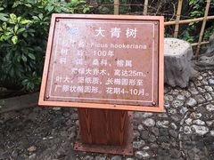 -南诏风情岛