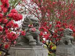 -南汇桃花村