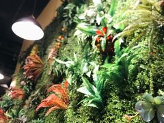 -味之绝热血美蛙鱼火锅(中坝店)