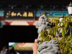 -阅江楼风景区