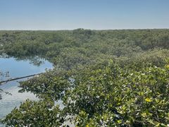 -北海金海湾红树林生态旅游区