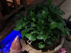 -老牌坊鱼豆花火锅(东盛大街店)