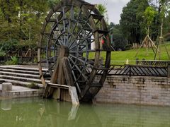 -铁山坪森林公园