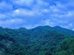 -大奇山国家森林公园