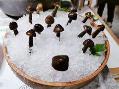 -禄婶鸡煲·打边炉
