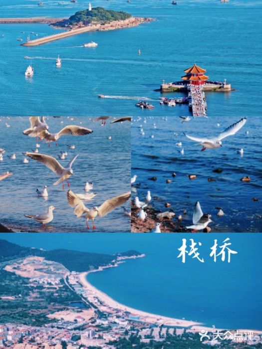 栈桥景区图片