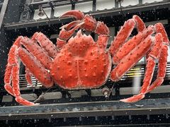 -蟹料理 北海道かに将軍(札幌本店)