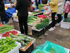 -上海浦南农副产品批发市场