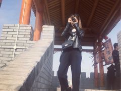 -茯茶镇