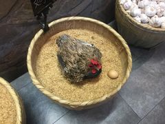 -井水小厨·湘菜(活力广场店)