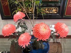 -山水茶艺馆·点心粤菜·30年老字号