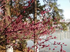 -白塘生态植物园