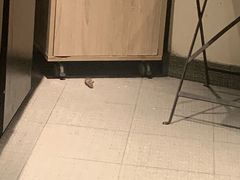 -Le Comptoir de la Gastronomie