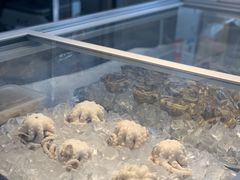 -铭聚章鱼土笋冻(松柏店)