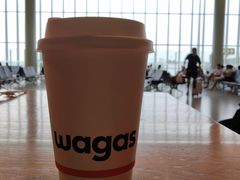 -Wagas沃歌斯(虹桥机场T1店)