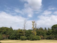 -长广溪湿地公园