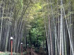 -穹窿山景区