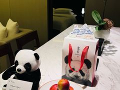 -成都博舍酒店