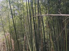 -西安金龙峡风景区