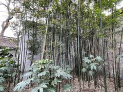 -花园茶楼(兴城西路店)